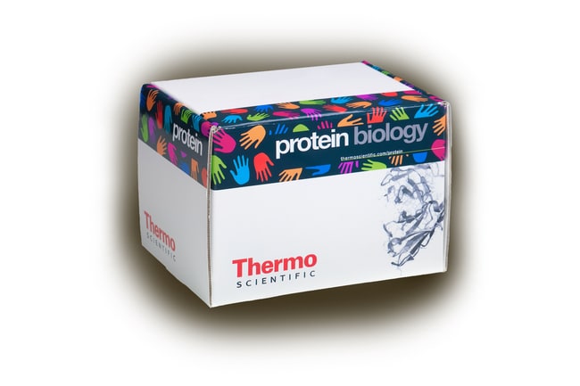 Thermo Fisher Scientific Pierce 10X Western Blot Transfer Buffer, Methanol-free, 5 L
