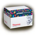 Thermo Fisher Scientific Pierce 10X Western Blot Transfer Buffer, Methanol-free, 5 L