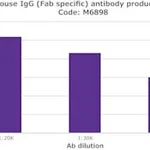 Merck ANTI-MOUSE IGG (FAB SPECIFIC) DEVELOPED&