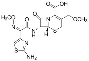 Merck CEFPODOXIME