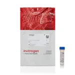 Thermo Fisher Scientific Alexa Fluor 350 C5 Maleimide