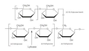Merck GLUCAN FROM BAKERS YEAST