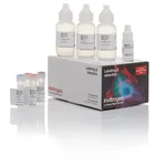 Thermo Fisher Scientific Biotin XX Tyramide SuperBoost Kit, Streptavidin