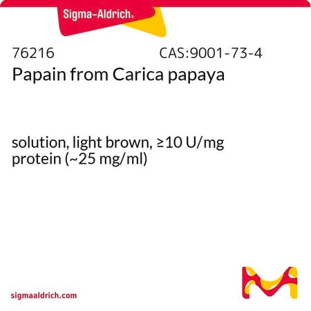 Merck Papain from Carica papaya