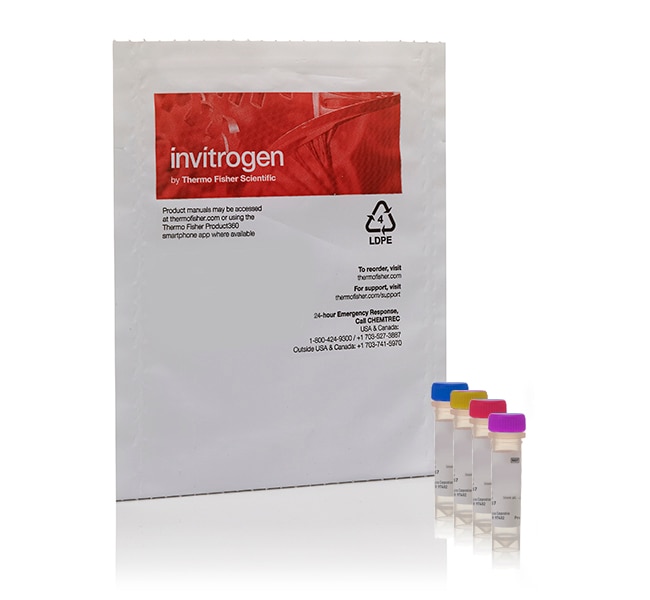 Thermo Fisher Scientific HCS DNA Damage Kit