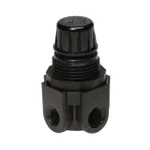 Thermo Fisher Scientific Vacuum regulator, 0 to 29 in. Hg, 2.47cfm