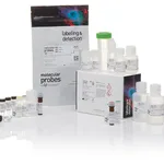 Thermo Fisher Scientific Click-iT TUNEL Colorimetric IHC Detection Kit