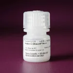 Thermo Fisher Scientific Pierce Protein G UltraLink Resin, 2 mL