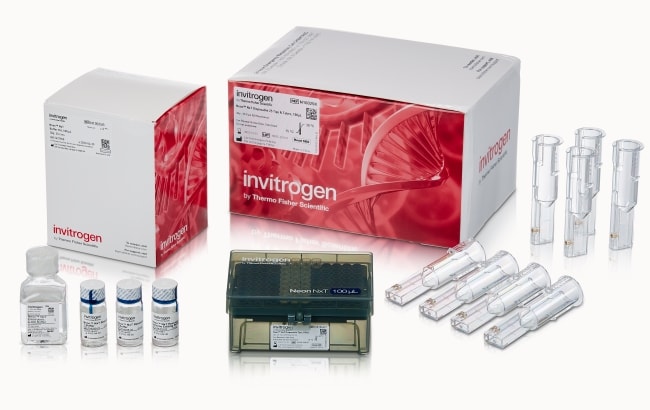 Thermo Fisher Scientific Neon NxT Electroporation System 100-&mu;L Kit, 25 x 2 reactions