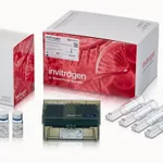 Thermo Fisher Scientific Neon NxT Electroporation System 100-μL Kit, 25 x 2 reactions