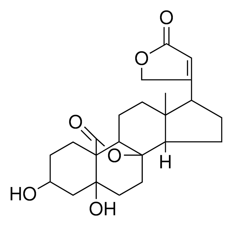 Merck 3-BETA,5-DIHYDROXY-5-BETA-CARD - 1 MG&