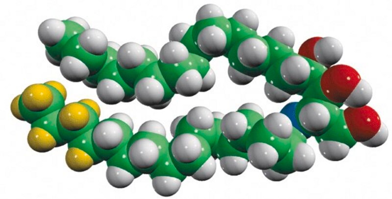 Merck CER3(d9)