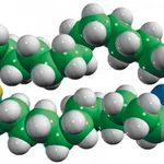 Merck CER3(d9)