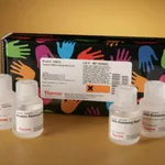 Thermo Fisher Scientific Yeast DNA Extraction Kit