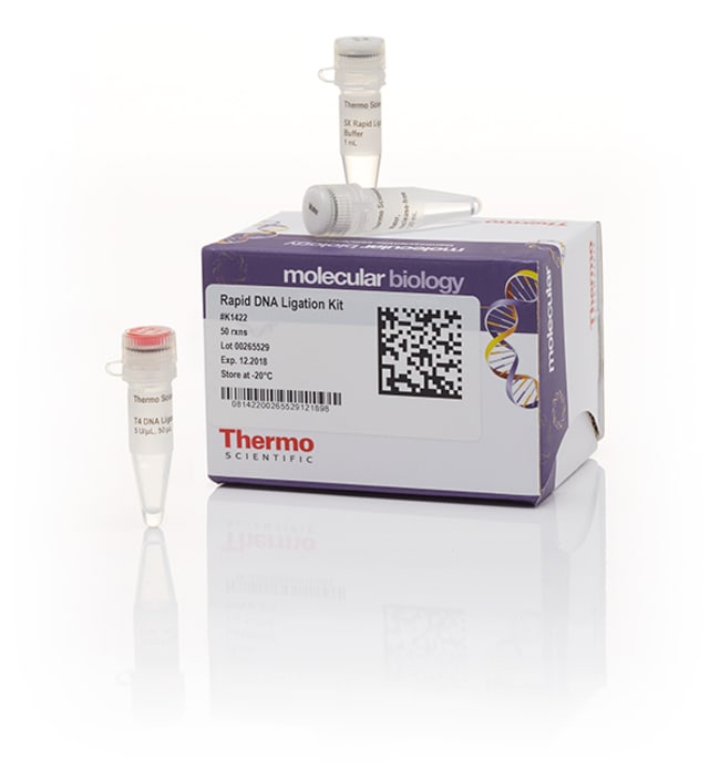 Thermo Fisher Scientific Rapid DNA Ligation Kit, 50 Reactions