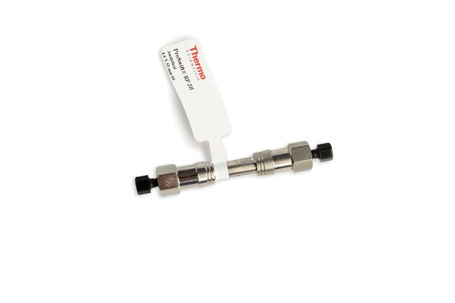 Thermo Fisher Scientific ProSwift RP-1S LC Column