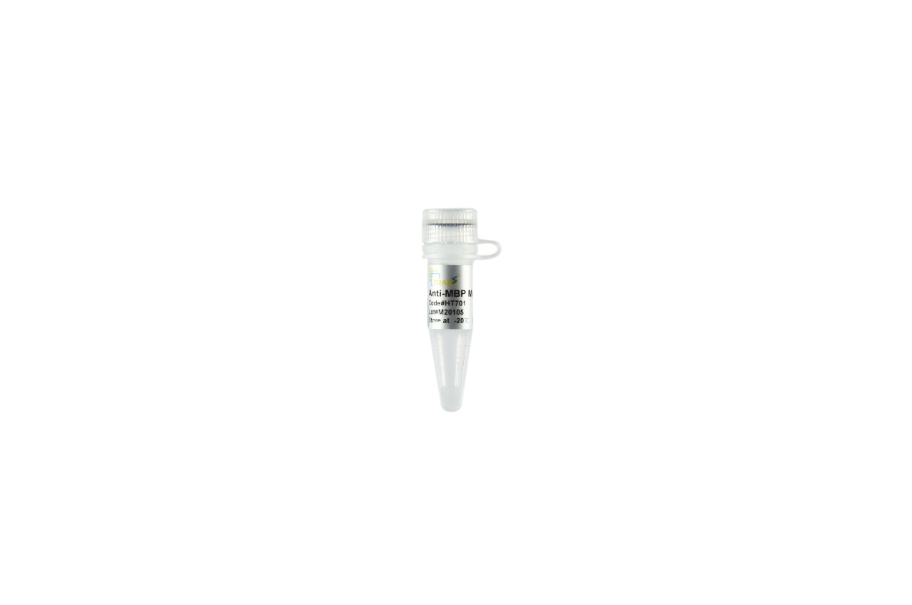 ProteinFind® Anti-MBP Mouse Monoclonal Antibody