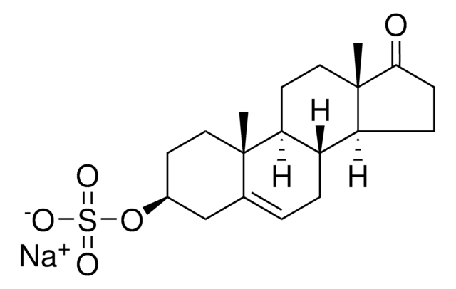 Merck DHEA SULFATE