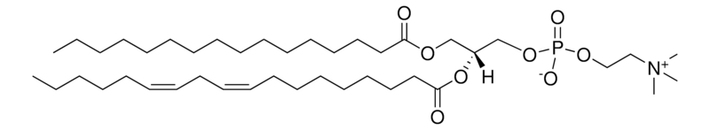 Merck Soy PC