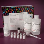 Thermo Fisher Scientific EZ-Link Activated Peroxidase Antibody Labeling Kit