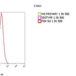 Thermo Fisher Scientific Goat anti-Mouse IgG1 Cross-Adsorbed Secondary Antibody, PE