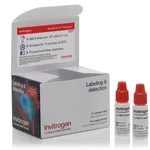 Thermo Fisher Scientific TO-PRO3 Ready Flow Reagent