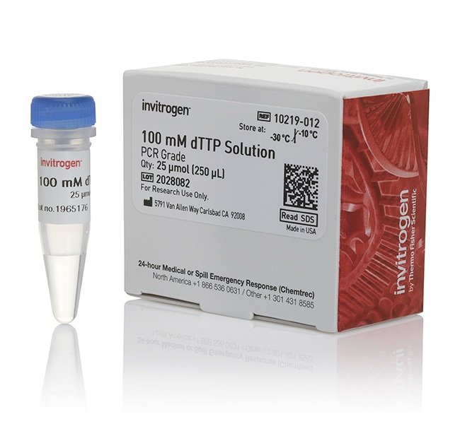 Thermo Fisher Scientific dTTP (100 mM)