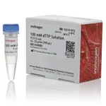Thermo Fisher Scientific dTTP (100 mM)