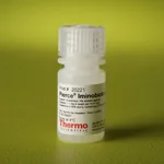 Thermo Fisher Scientific Pierce Iminobiotin Agarose