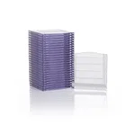 Thermo Fisher Scientific Empty Gel Cassettes, mini, 1.5 mm