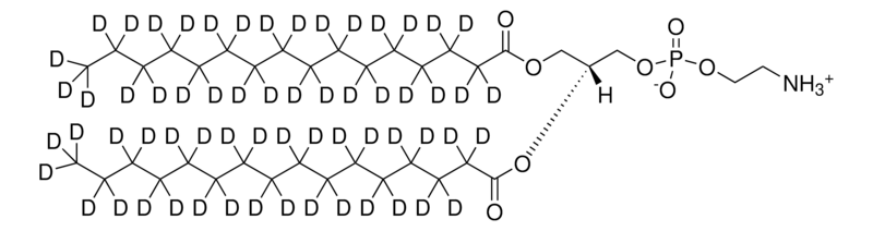 Merck 16:0 PE-d62