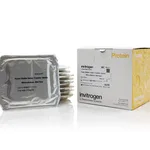 Thermo Fisher Scientific Power Blotter Select Transfer Stacks, nitrocellulose, mini, 10 stacks