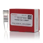 Thermo Fisher Scientific Human Cot-1 DNA-Fluorometric QC