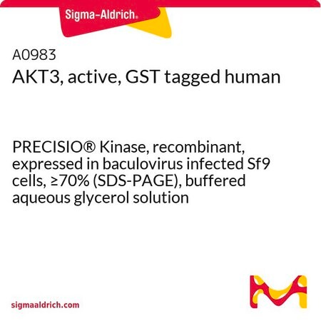 Merck AKT3, active, GST tagged human