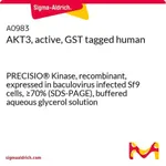 Merck AKT3, active, GST tagged human