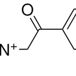 Merck 4-TERT-BUTYL-1-(2-(4-METHYLPHENY-