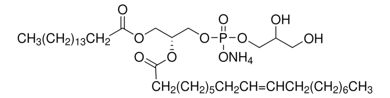 Merck 2-Oleoyl-1-palmitoyl-sn-glycero-3-phospho-rac-(1-glycerol) ammonium salt