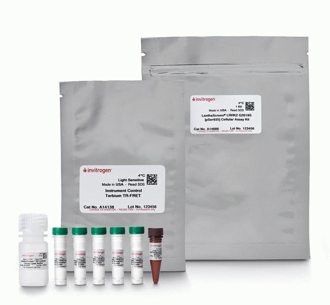 Thermo Fisher Scientific LanthaScreen LRRK2 G2019S [pSer935] Cellular Assay Kit