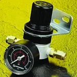 Merck REGULATOR W/60PSI GAUGE, 1/8IN SWAGELOK,