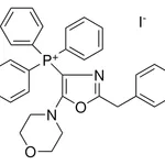 Merck (2-BENZYL-5-MORPHOLIN-4-YL-OXAZ - 10MG &