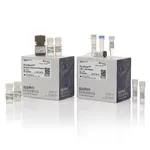Thermo Fisher Scientific PureQuant CD8+ T-Cell Assay