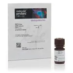 Thermo Fisher Scientific Propidium Iodide - 1.0 mg/mL Solution in Water