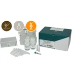 APBIO APmag™ Plant Seeds and Bulbs DNA / Plant Seeds and Bulbs DNA IT