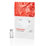 Thermo Fisher Scientific FluoSpheres Polystyrene Microspheres, 10 μm, red fluorescent (580/605), for blood flow determination