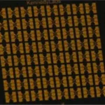 Merck Hall Device Chip