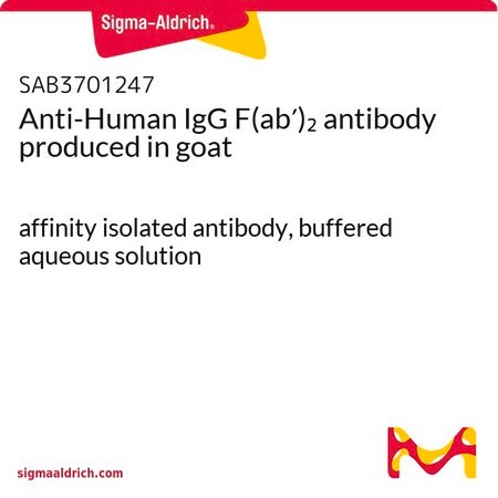 Merck Anti-Human IgG F(ab')2 antibody produced in goat