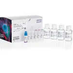 Thermo Fisher Scientific Human Cardiomyocyte Immunocytochemistry Kit