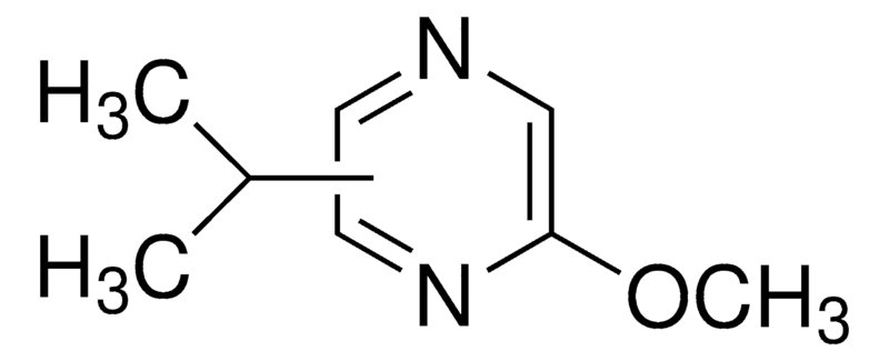 Merck 2-Methoxy-3(5 or 6)-isopropylpyrazine