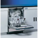 Thermo Fisher Scientific FlaskScrubber Glassware Washer, FlaskScrubber; Freestanding; With viewing window and light; Domestic/International electrical standard