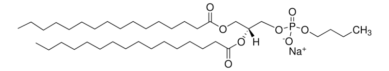 Merck 16:0 Phosphatidylbutanol